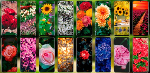 Garden Wallpapers Android app – HD / 4K garden backgrounds and wallpapers